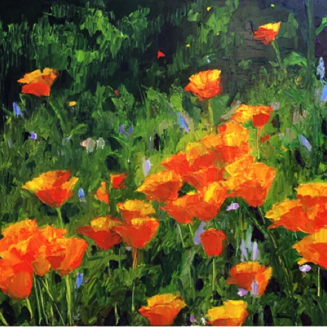 Forte
16x20 Forte
16x20