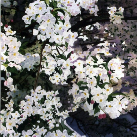 Flowering Tree
21x21
PUBLISHED - Allport Editions Flowering Tree
21x21
PUBLISHED - Allport Editions