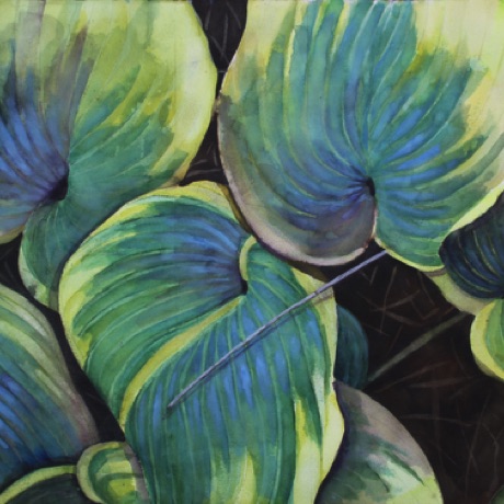 Hostas
22x30 Hostas
22x30